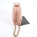 CHANEL Rectangular Clutch in Pink Plexiglass